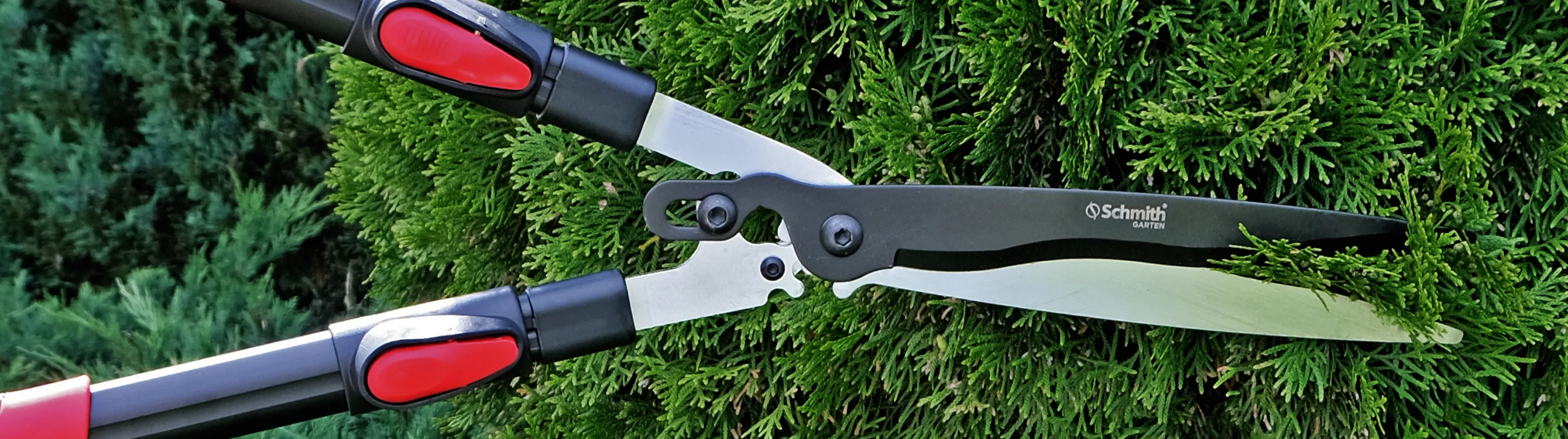 sekatory