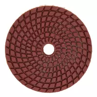 Dysk diamentowy gr. 200 100mm do szlifowania na mokro, Gradacja: 200, Średnica: 100, Typ: Dysk do szlifowania na mokro Schmith