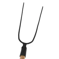 Widły gospodarcze 2-zębne z trzonkiem drewnianym 120 cm Schmith