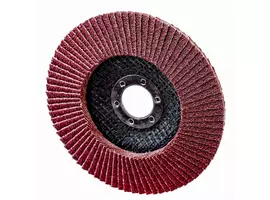 Ściernica listkowa-125/80 Schmith